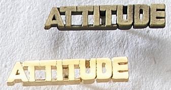 Attitude Cast Lapel Pin